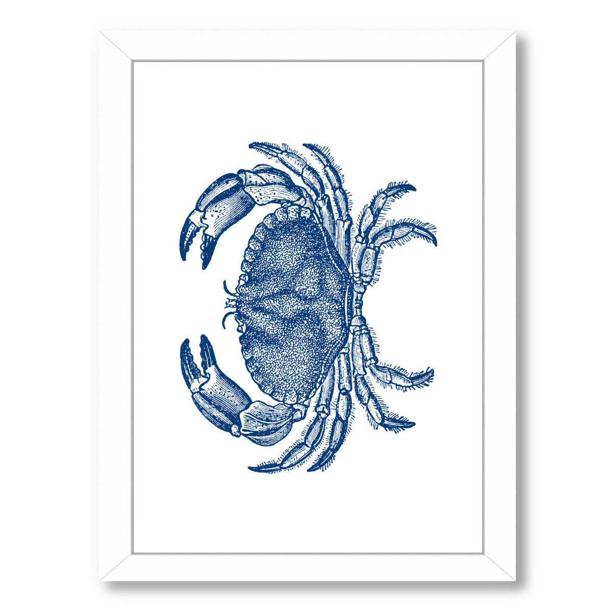 Crab Quad 4 by Samantha Ranlet Framed Print - Americanflat