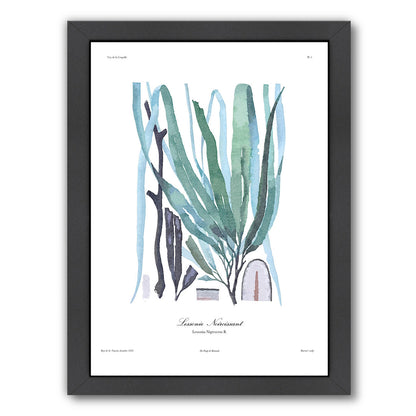 French Kelp Blue by Samantha Ranlet Framed Print - Americanflat