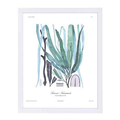 French Kelp Blue by Samantha Ranlet Framed Print - Americanflat