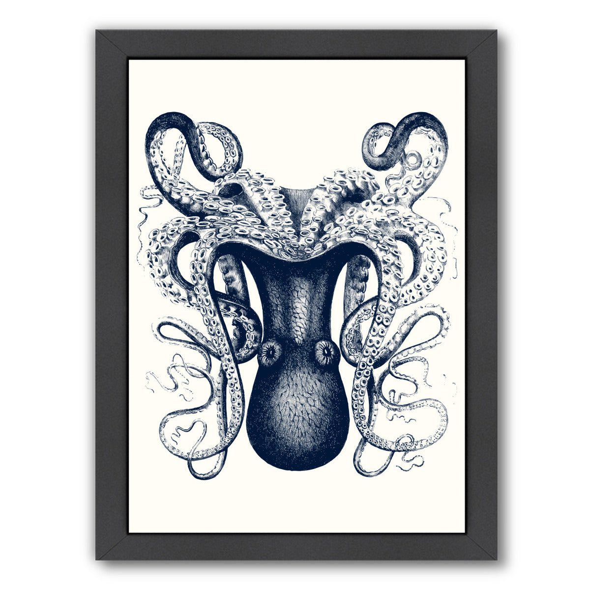 Odd Angle Octopus by Samantha Ranlet Framed Print - Americanflat