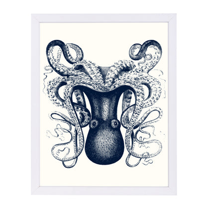 Odd Angle Octopus by Samantha Ranlet Framed Print - Americanflat