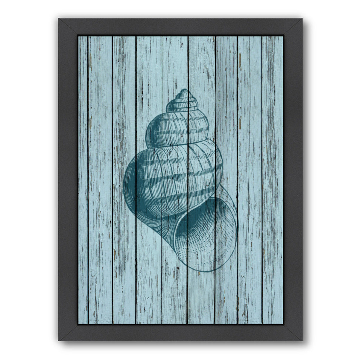 Wood Shell 3 by Samantha Ranlet Framed Print - Americanflat