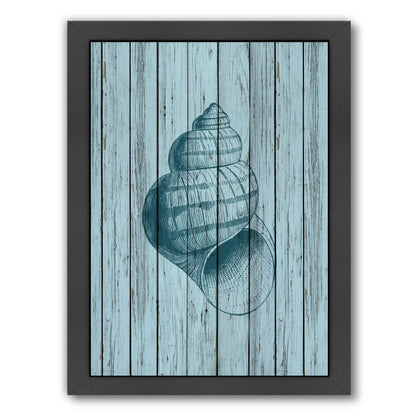 Wood Shell 3 by Samantha Ranlet Framed Print - Americanflat
