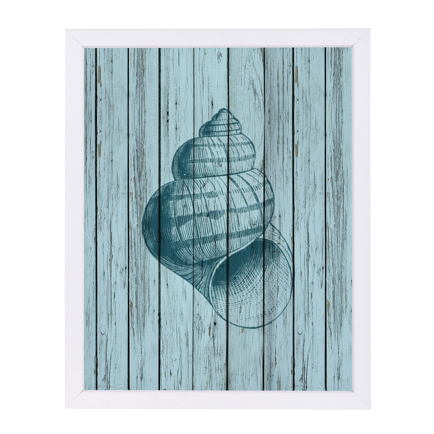 Wood Shell 3 by Samantha Ranlet Framed Print - Americanflat