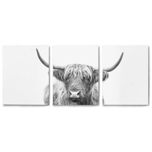  3 Piece Framed Triptych Highland Bull Horns by Sisi and Seb