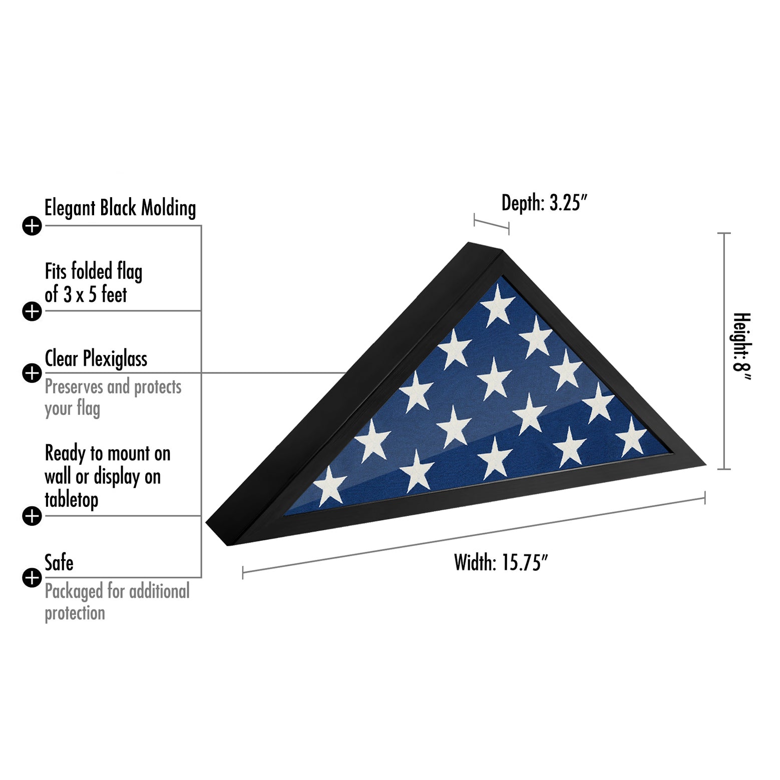 Black Flag Case Frame. Polished Plexiglass. Hanging Hardware Included! - Picture Frame - Americanflat