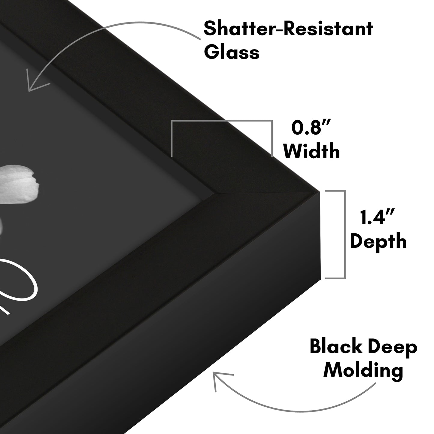 Deep Molding Frame without Mat | Choose Size and Color