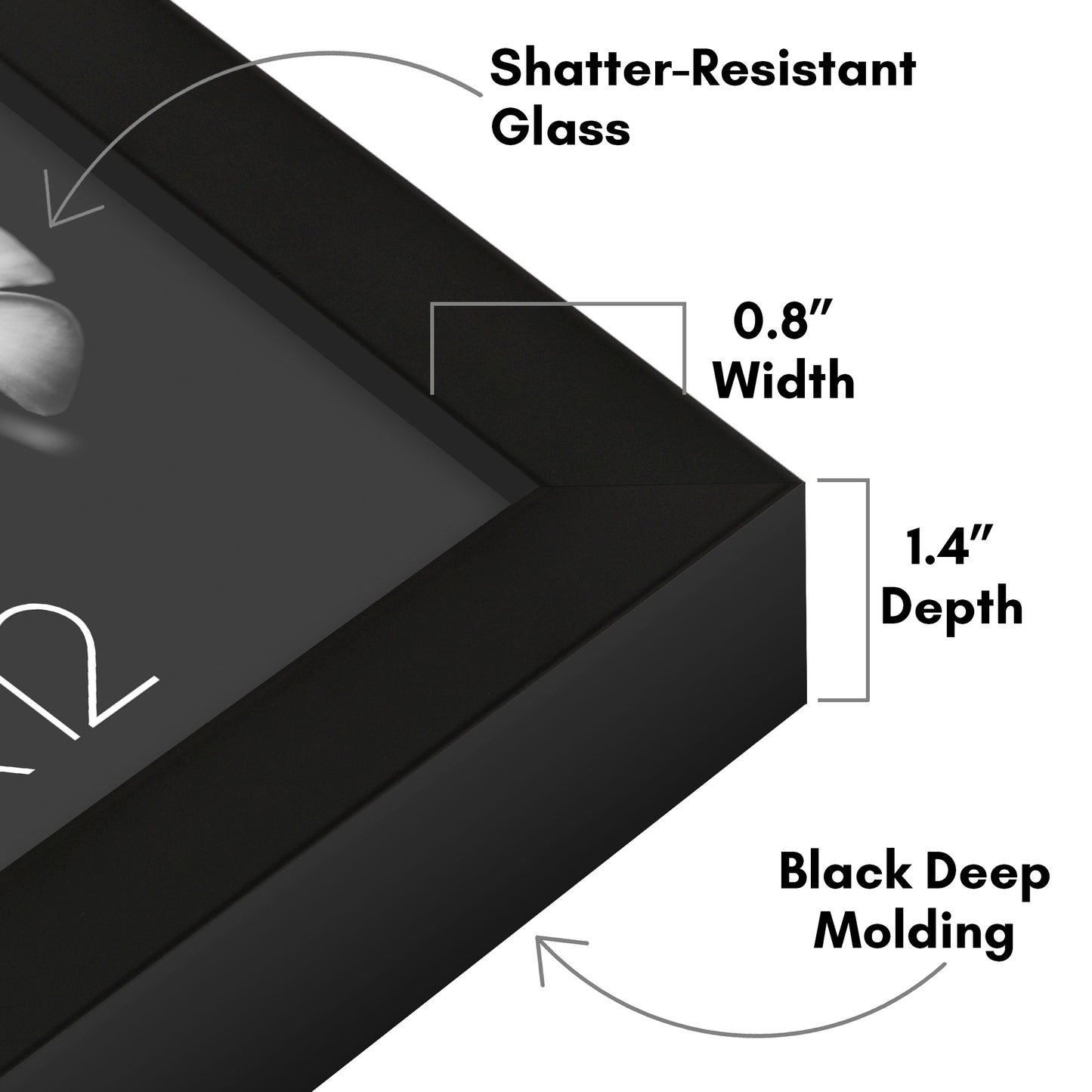 Deep Molding Frame without Mat | Choose Size and Color