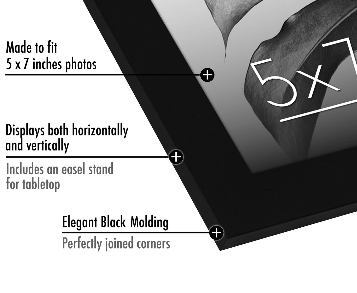 6 Piece - Gallery Wall Picture Frame Set | Black