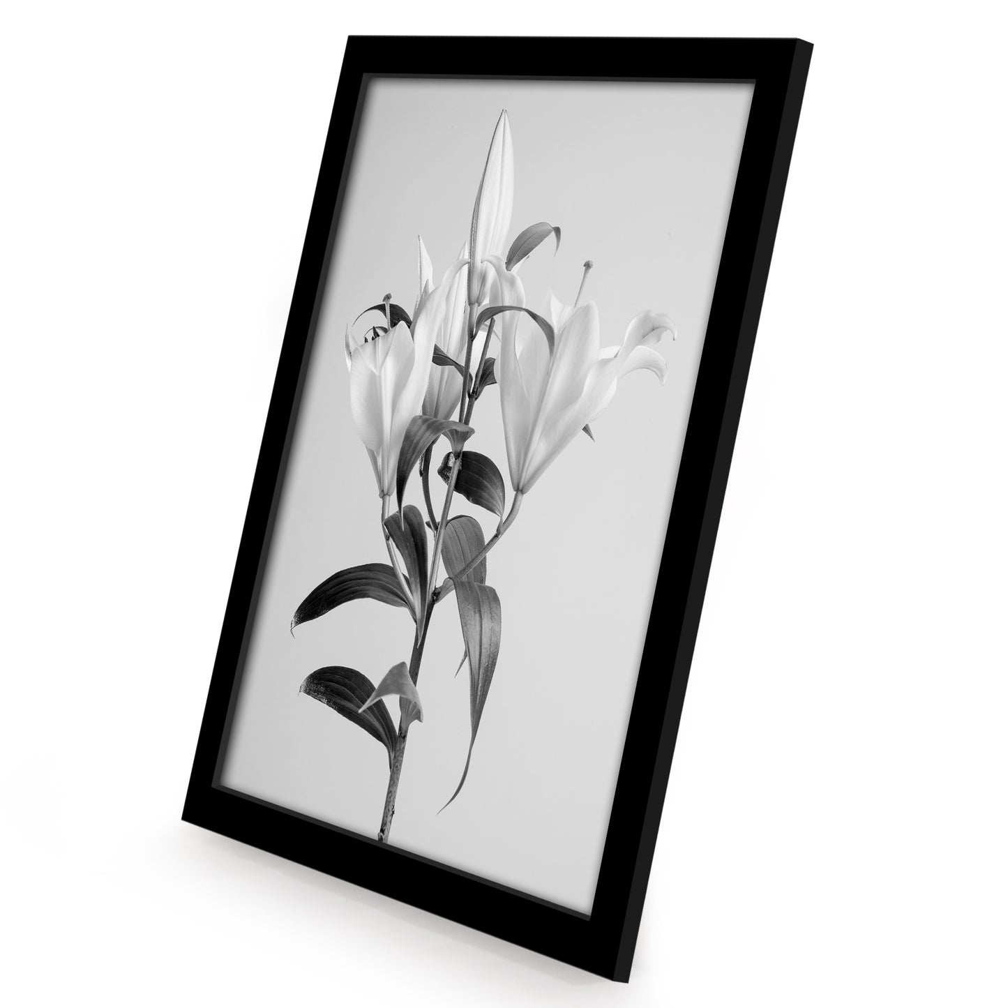 12 Piece - Gallery Wall Picture Frame Set | Black