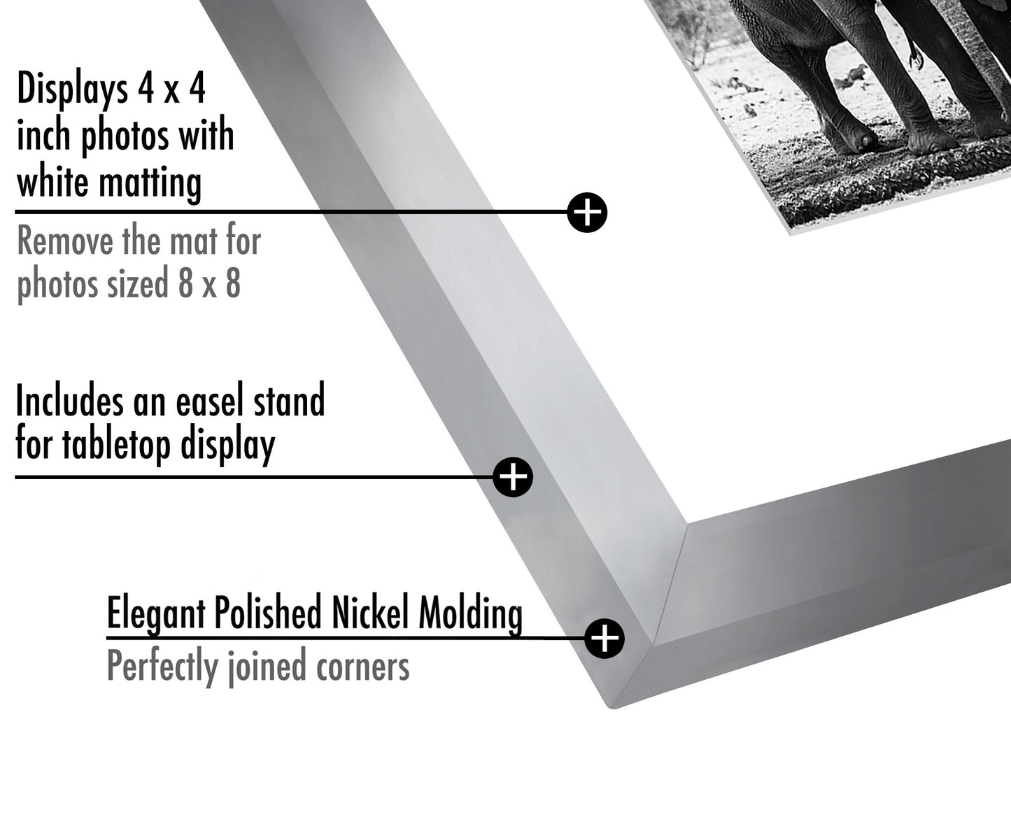 Gallery Picture Frame with Mat | Signature Collection