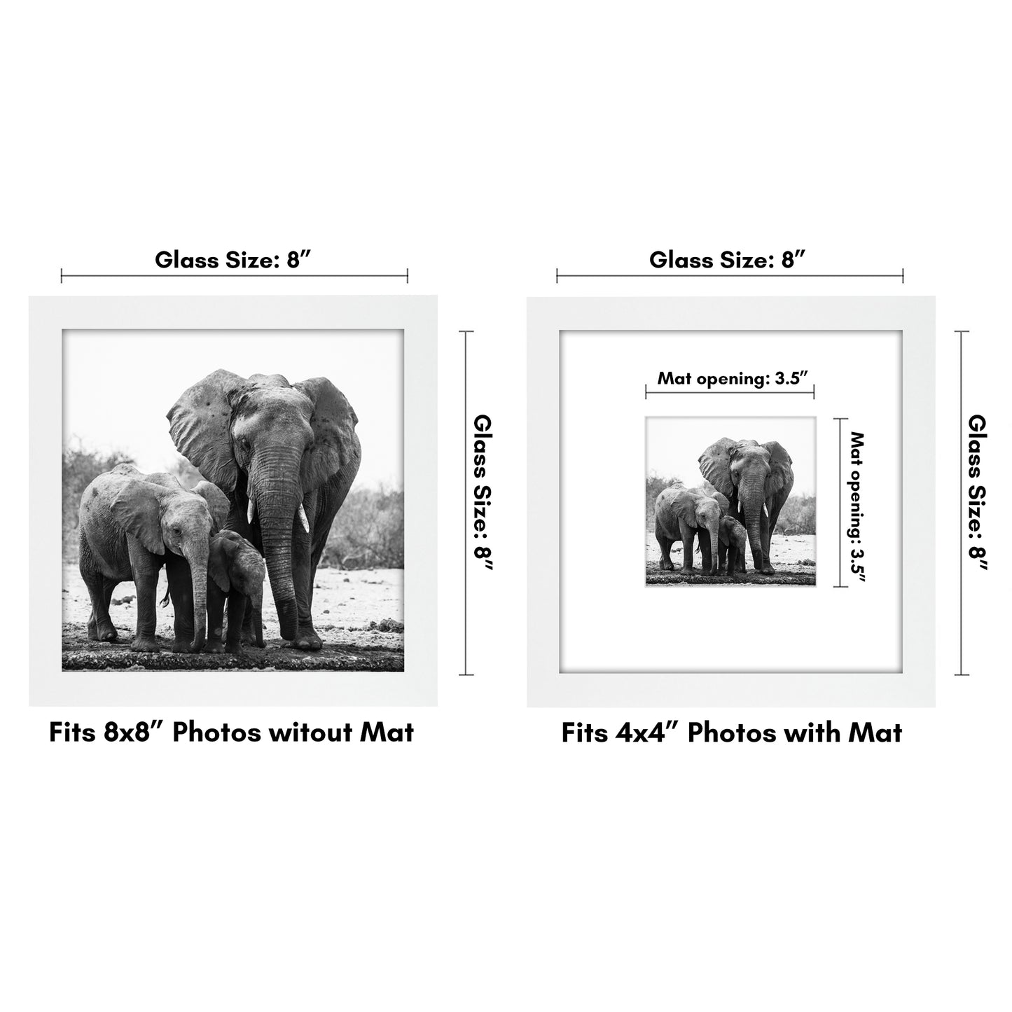 Gallery Picture Frame with Mat | Signature Collection