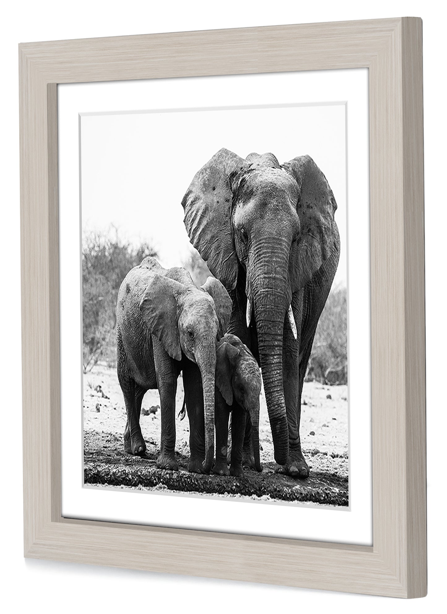 Picture Frame with Mat | Engineered Wood Photo Frame