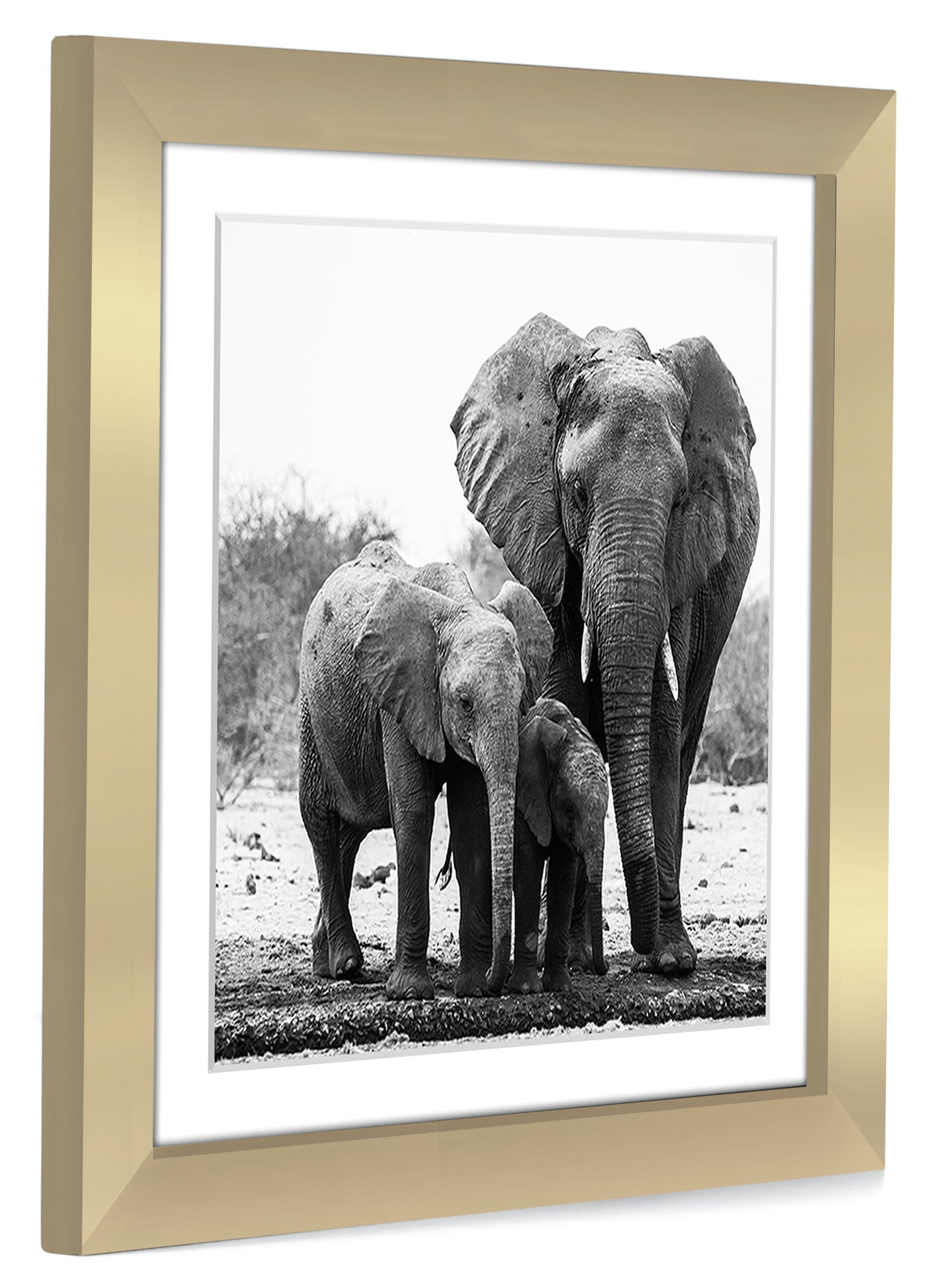 Gallery Picture Frame with Mat | Signature Collection