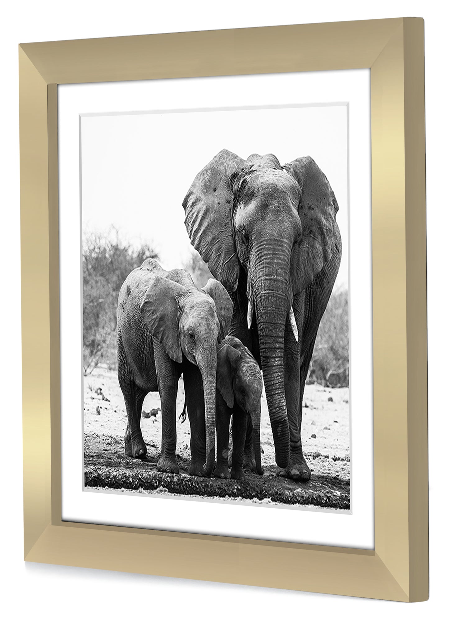 Picture Frame with Mat | Engineered Wood Photo Frame