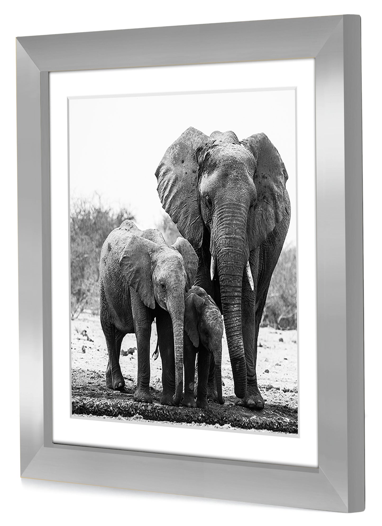 Picture Frame with Mat | Engineered Wood Photo Frame