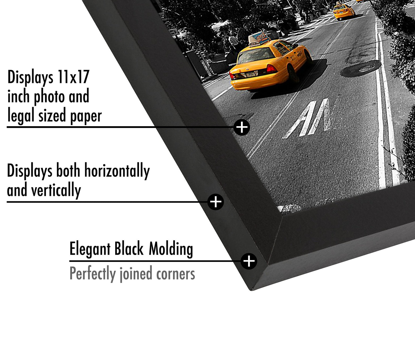 2 Pack - Engineered Wood Picture Frame | Choose Size and Color