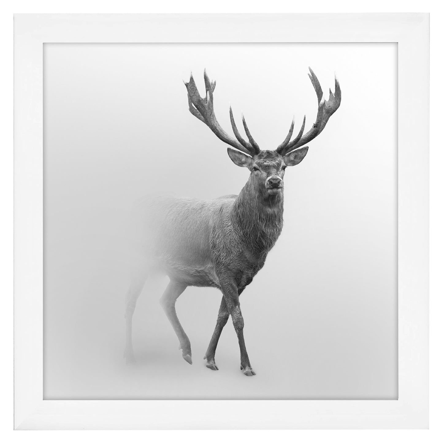 Gallery Poster Frame without Mat | Epic Collection