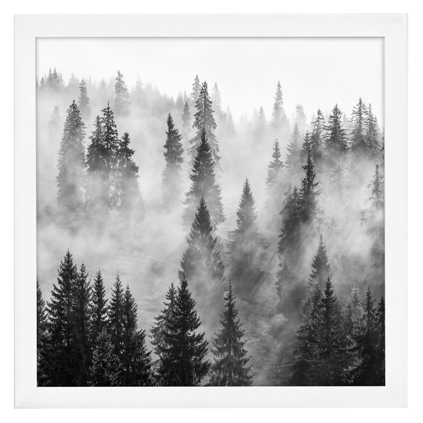 Gallery Poster Frame without Mat | Epic Collection