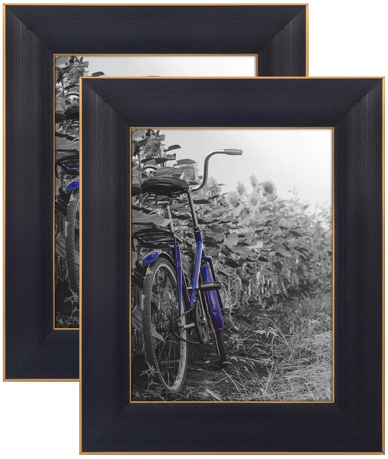 Set of 2 - Gold Trim Picture Frame | Galleria Collection