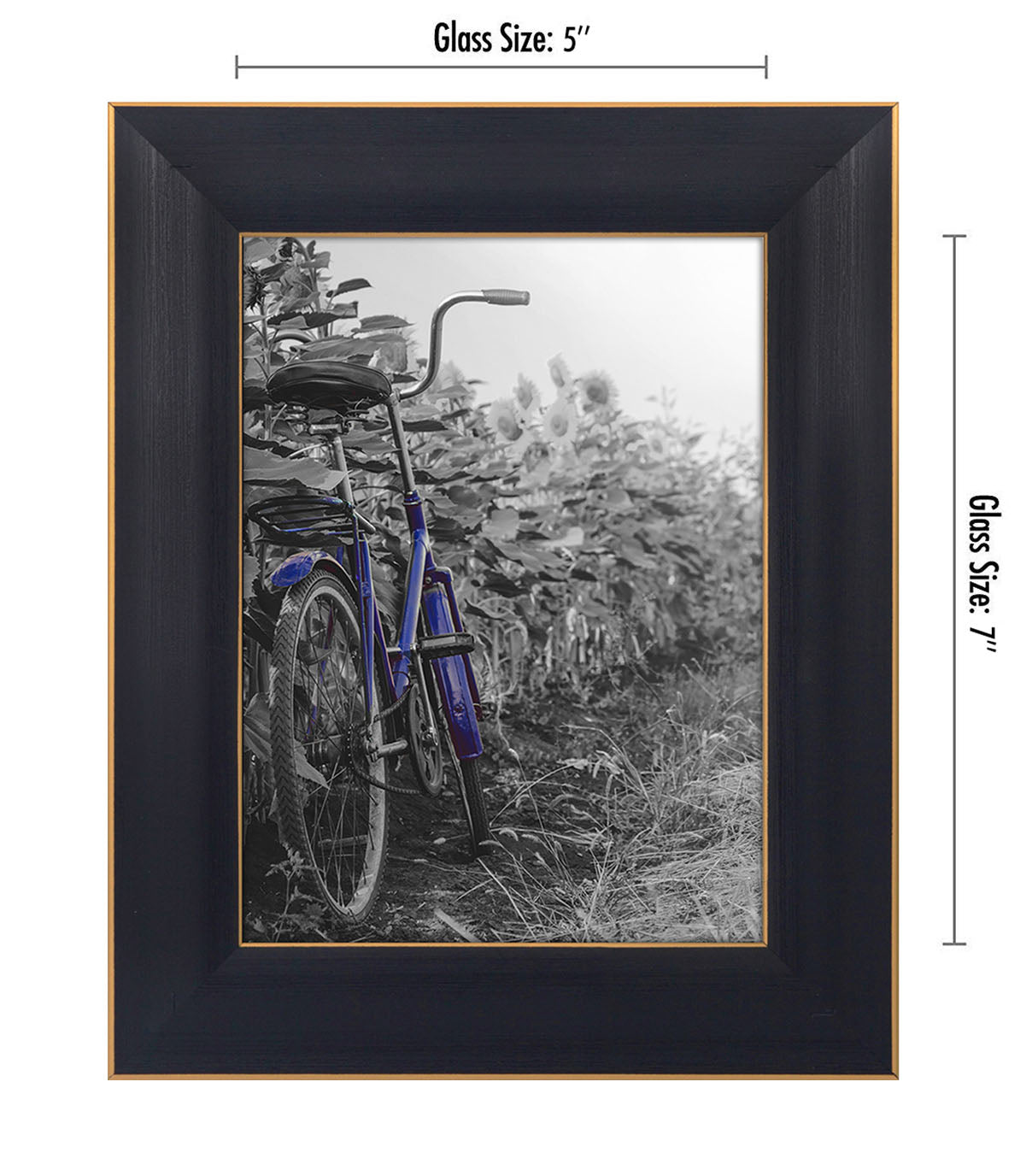Set of 2 - Gold Trim Picture Frame | Galleria Collection