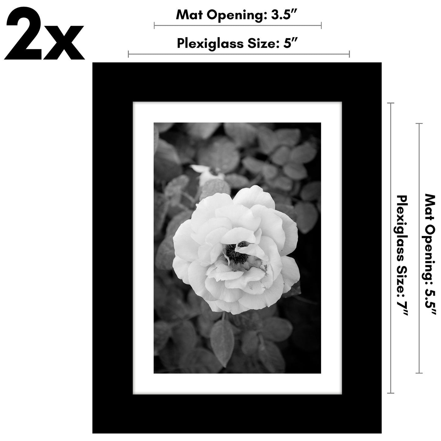 Picture Frame - Set of 2 - with Mat or Without Mat - Plexiglass Cover and Hanging Hardware included