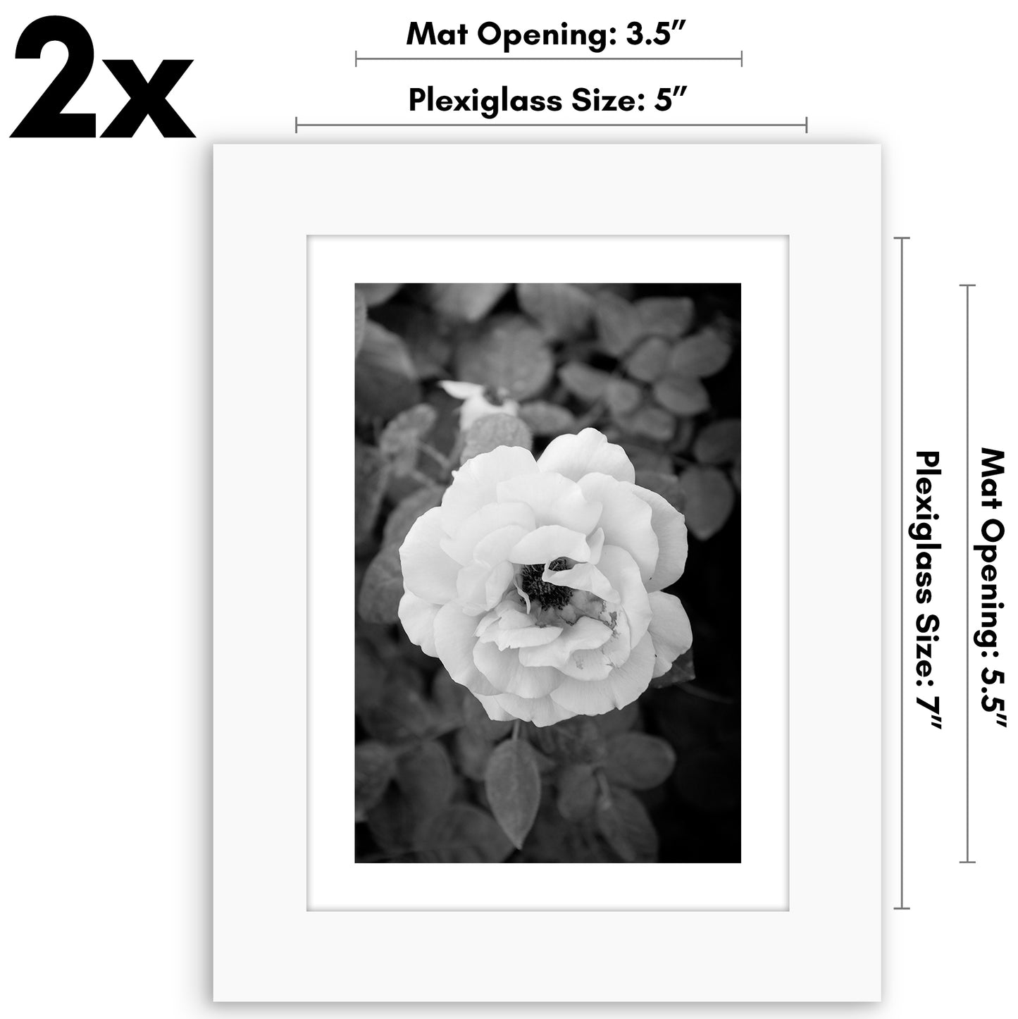 Picture Frame - Set of 2 - with Mat or Without Mat - Plexiglass Cover and Hanging Hardware included