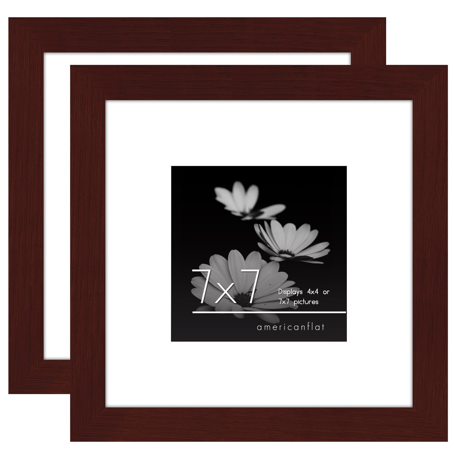 Picture Frame - Set of 2 - with Mat or Without Mat - Plexiglass Cover and Hanging Hardware included