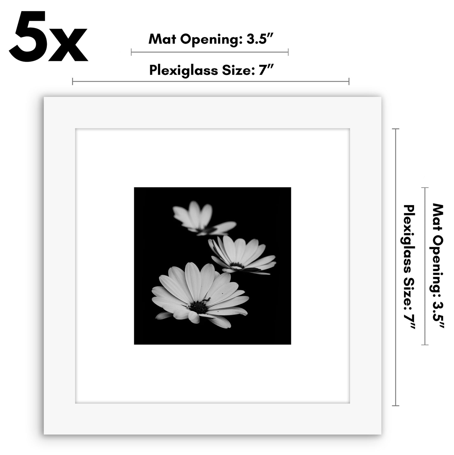 5 Pack - Gallery Wall Picture Frame | Choose Size and Color