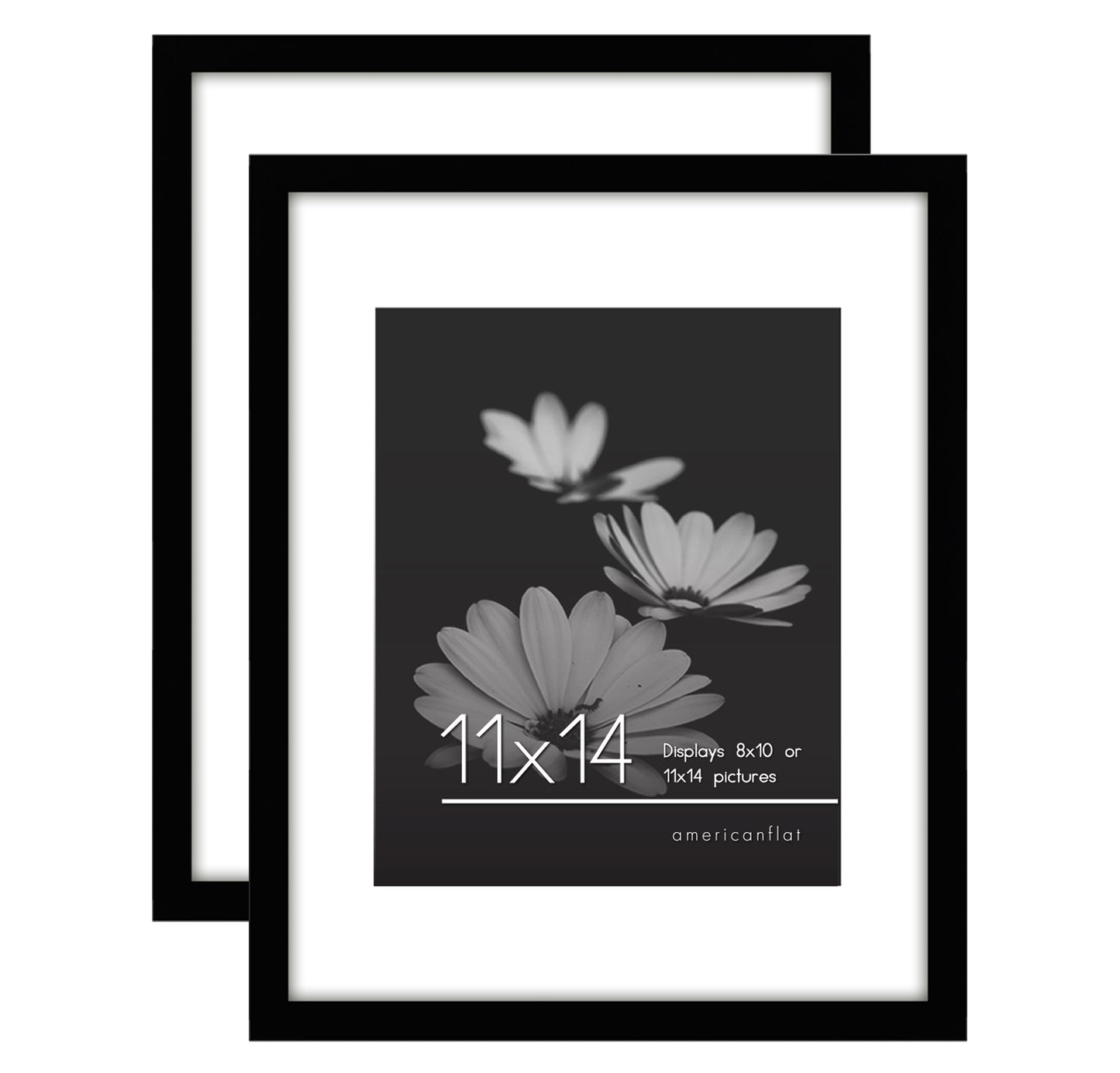 Picture Frame - Set of 2 - with Mat or Without Mat - Plexiglass Cover and Hanging Hardware included