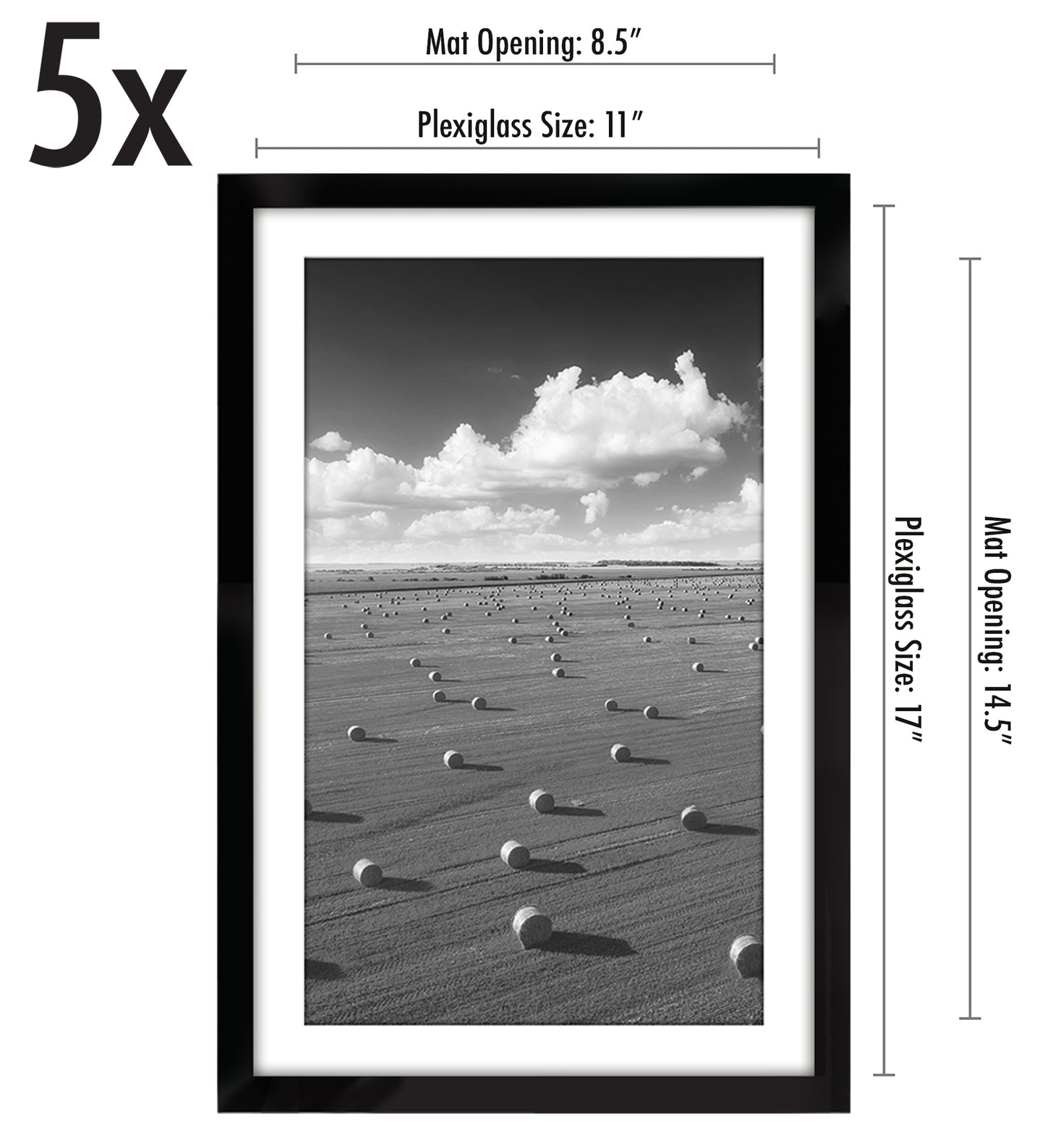 5 Pack - Gallery Wall Picture Frame | Choose Size and Color