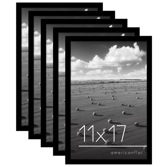Set of 5 - Classic Gallery Picture Frame without Mat | Galleria Collection
