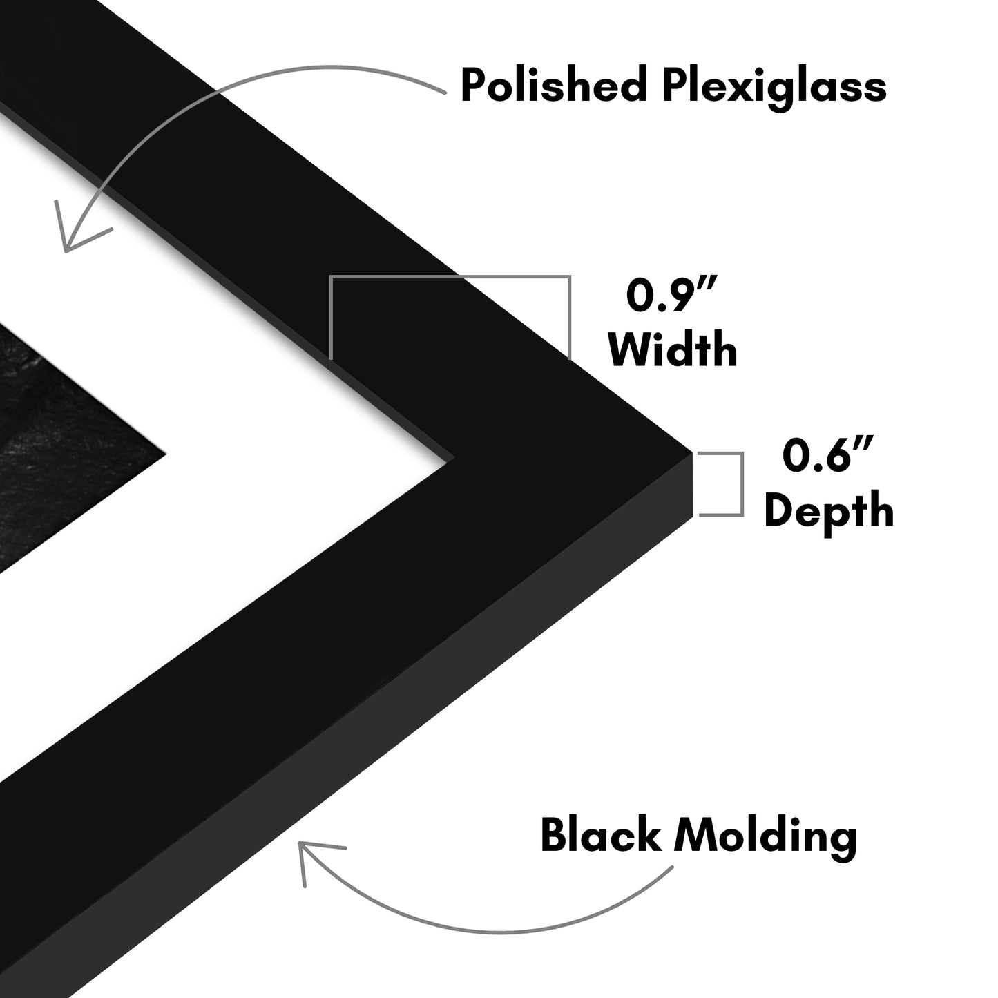 Picture Frame - Set of 2 - with Mat or Without Mat - Plexiglass Cover and Hanging Hardware included