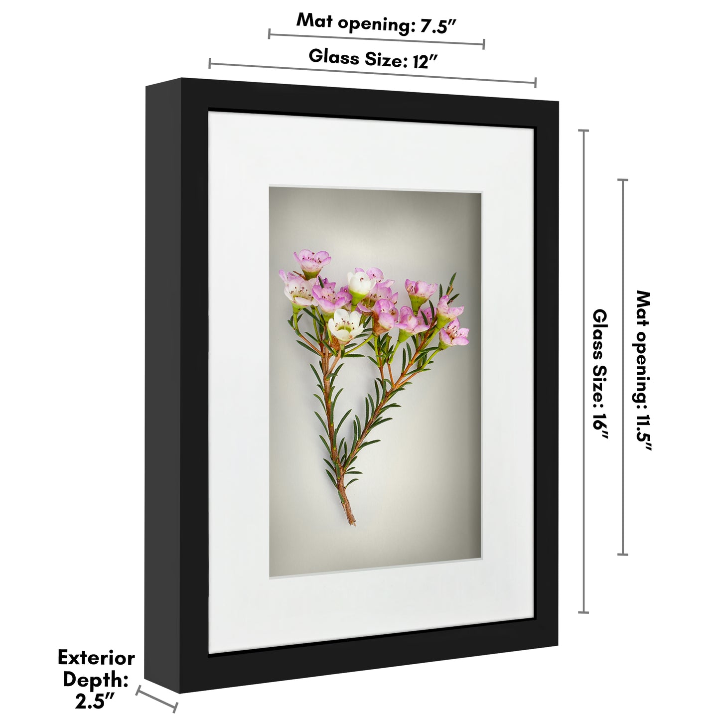Shadow Box Keepsake Frame with Mat | Silhouette Collection