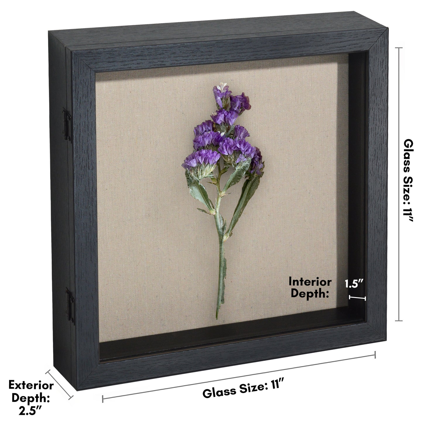 Shadow Box Frame Front Loading with Door - Display Case with Hanging Hardware for Wall and Tabletop