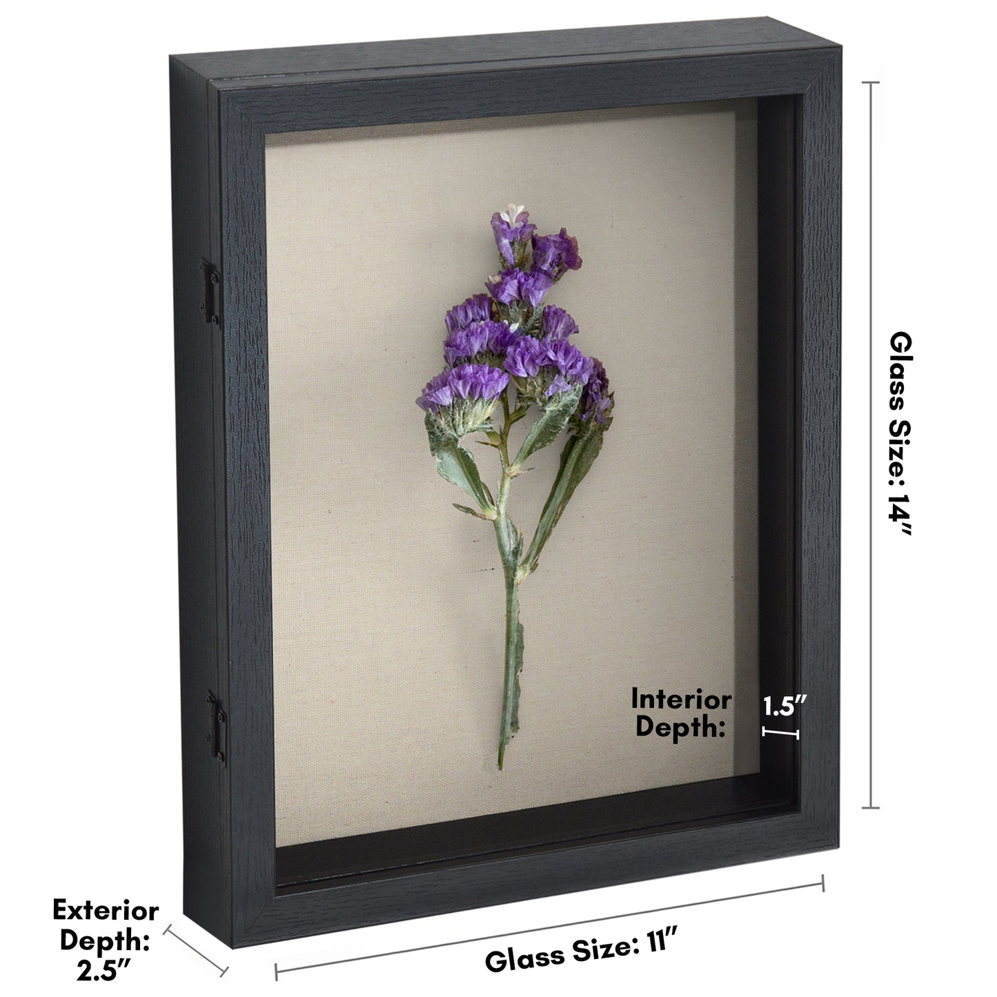 Shadow Box Frame Front Loading with Door - Display Case with Hanging Hardware for Wall and Tabletop