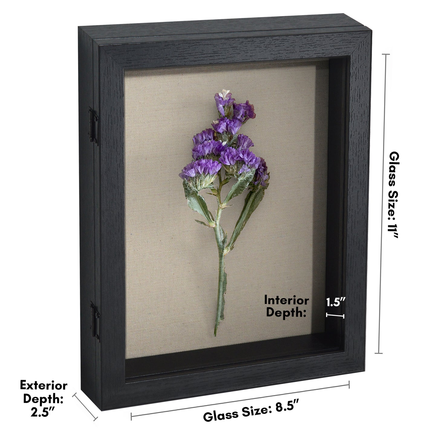 Shadow Box Frame Front Loading with Door - Display Case with Hanging Hardware for Wall and Tabletop