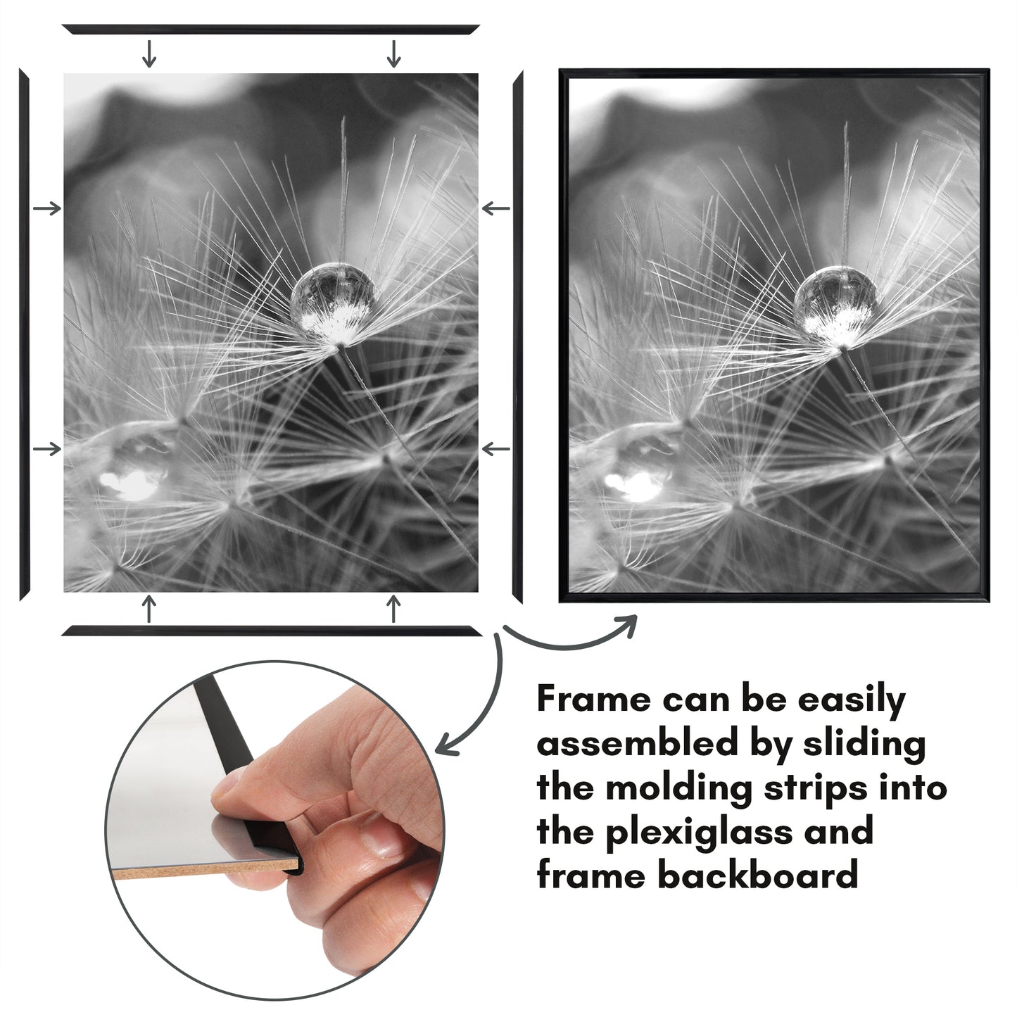 Slide-in Picture Frame with Buildable Molding | Fusion Collection