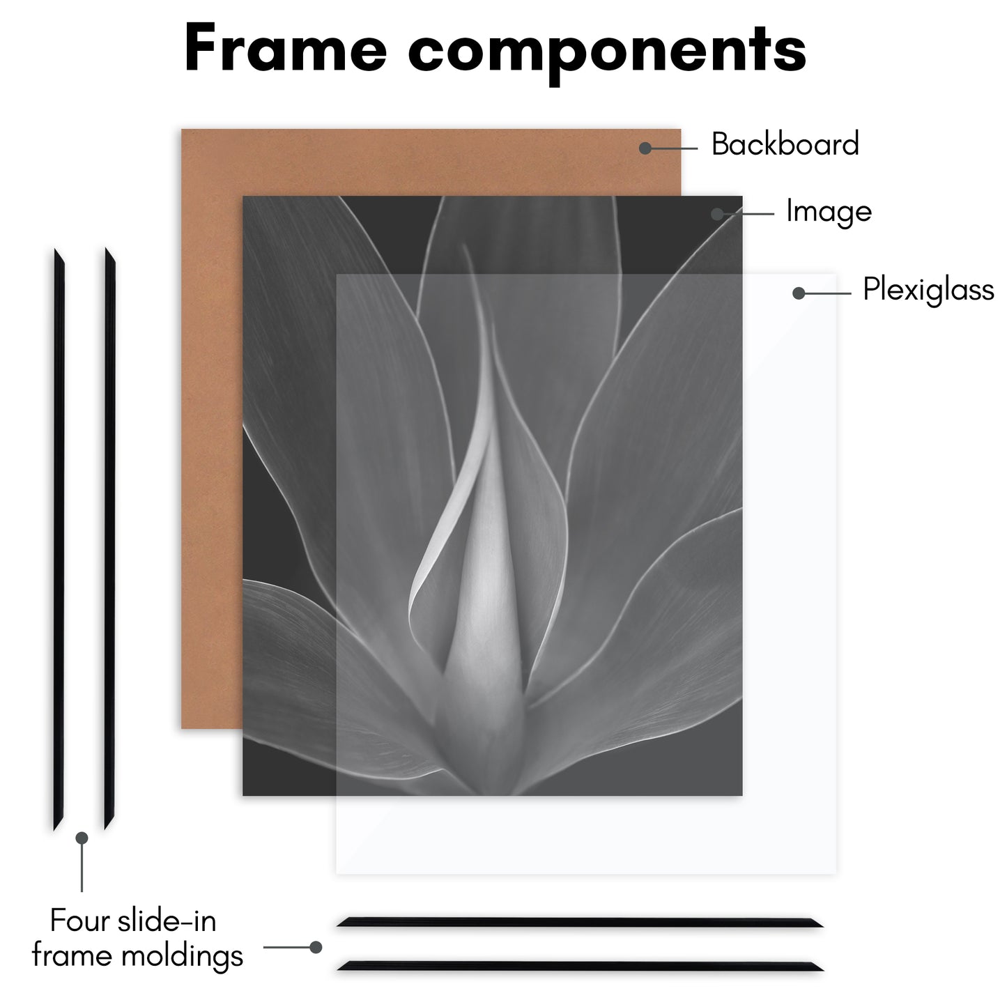 Slide-in Picture Frame with Buildable Molding | Fusion Collection