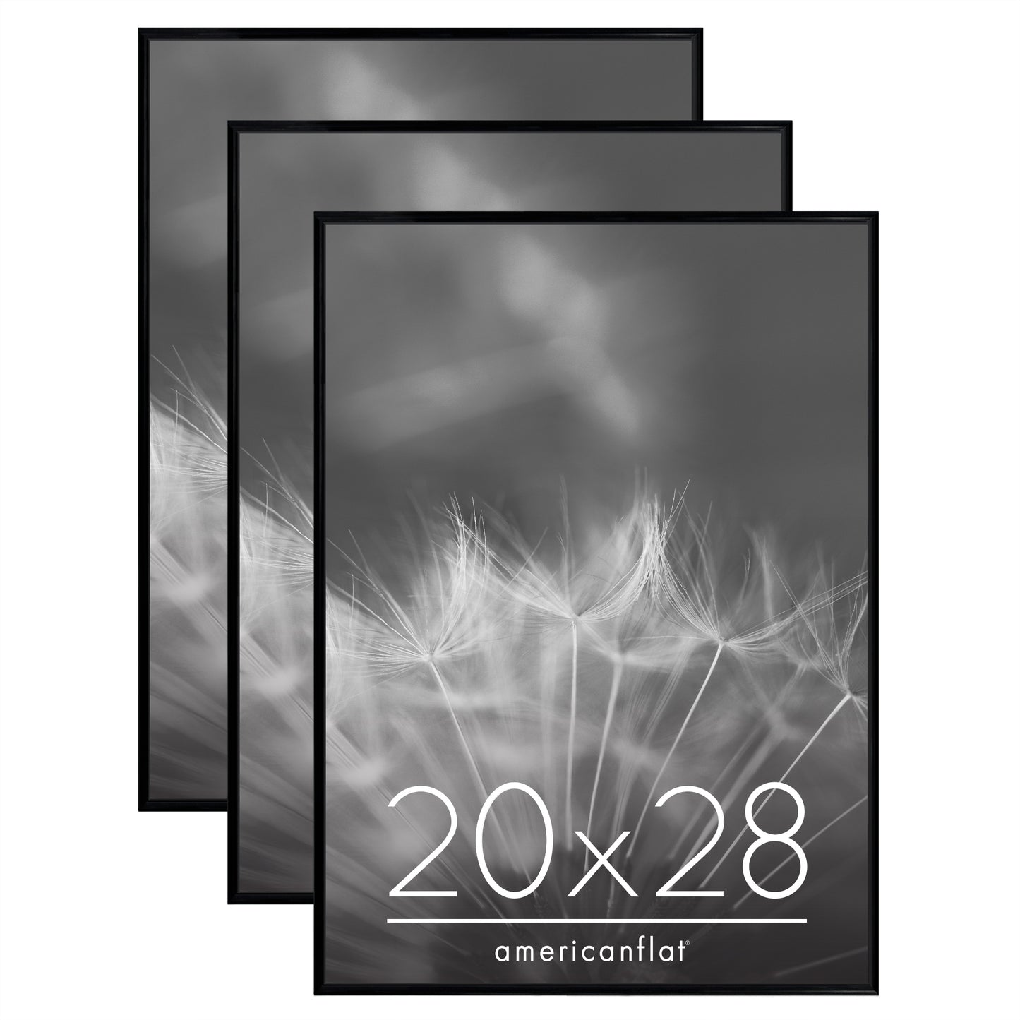 3 Pack - Black Poster Frame with Slimline Molding | Choose Size