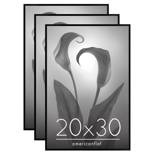 Slide-in Picture Frame with Buildable Molding | Fusion Collection