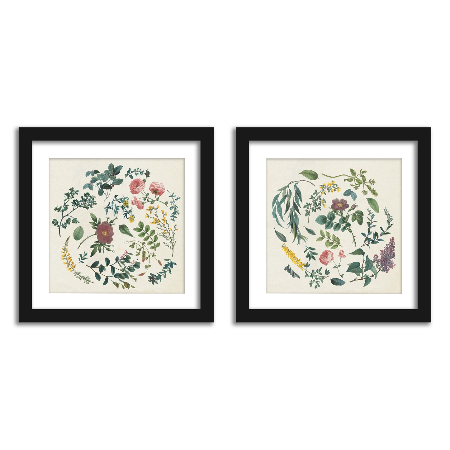  Fresh Florals Bathroom Wall Art - Set of 2 Framed Prints by Wild Apple