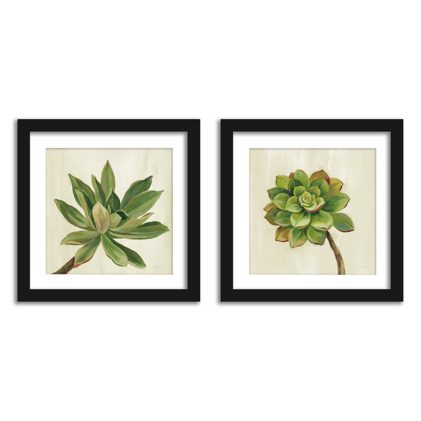  Watercolor Succulents Bathroom Wall Art - Set of 2 Framed Prints by Wild Apple