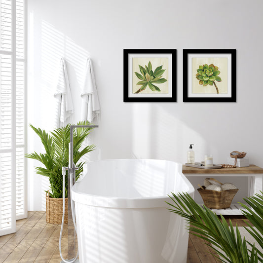 Watercolor Succulents Bathroom Wall Art - Set of 4 Framed Prints by Wild Apple - Americanflat