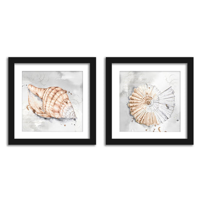  Neutral Shells Bathroom Wall Art - Set of 2 Framed Prints by PI Creative