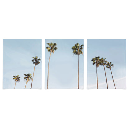 (Set of 3) Triptych Wall Art Palms in the Sun by Sisi and Seb - Poster Print