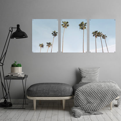 (Set of 3) Triptych Wall Art Palms in the Sun by Sisi and Seb - Poster Print