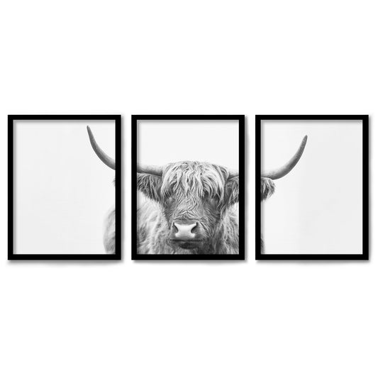 Highland Bull Horns by Sisi and Seb 3 Piece Framed Triptych 