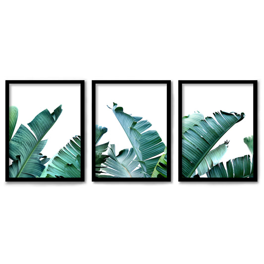 Tropical Palms by Tanya Shumkina 3 Piece Framed Triptych 