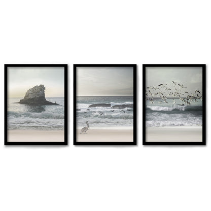 Morning Beach Walks by Tanya Shumkina 3 Piece Framed Triptych 